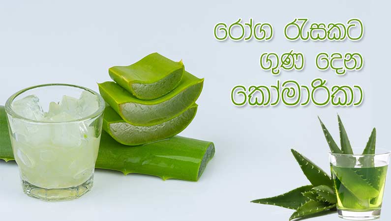 කෝමාරිකා වල භාවිතයන්