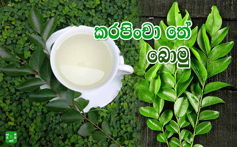 කරපිංචා තේ