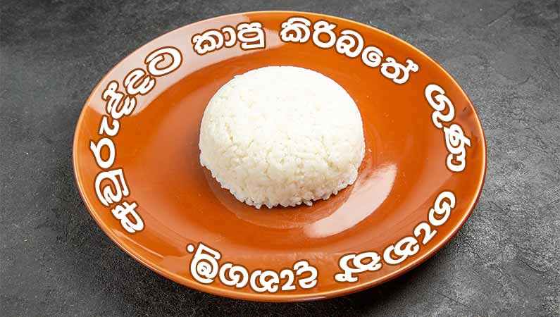 අවුරුද්දට කාපු කිරිබතේ ගුණ ගැනත් දැනගමු.