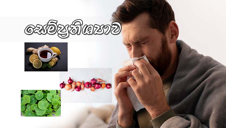 සෙම්ප්‍රතිශ්‍යාව