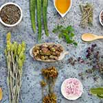 ඖෂධ පැළෑටි, බීජ හා ශාක